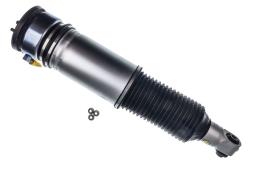 Air Suspension Strut