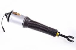 Air Suspension Strut