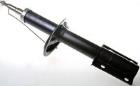 Shock Absorber DENCKERMANN DSB016G