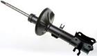 Shock Absorber DENCKERMANN DSB090G