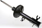 Shock Absorber DENCKERMANN DSB091G