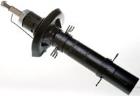 Shock Absorber DENCKERMANN DSB026G