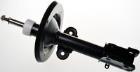 Shock Absorber DENCKERMANN DSB055G