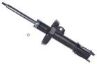 Shock Absorber DENCKERMANN DSB040G