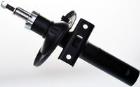 Shock Absorber DENCKERMANN DSB124G