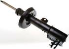 Shock Absorber DENCKERMANN DSB065G