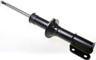 Shock Absorber DENCKERMANN DSB053G