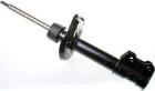 Shock Absorber DENCKERMANN DSB111G