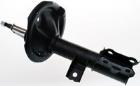 Shock Absorber DENCKERMANN DSB179G