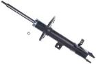 Shock Absorber DENCKERMANN DSB349G