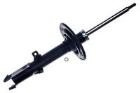 Shock Absorber DENCKERMANN DSB309G