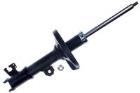 Shock Absorber DENCKERMANN DSB406G