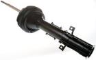 Shock Absorber DENCKERMANN DSB169G