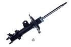 Shock Absorber DENCKERMANN DSB496G