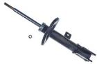 Shock Absorber DENCKERMANN DSB367G