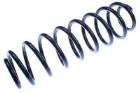 Suspension Spring DENCKERMANN D700180