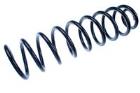 Suspension Spring DENCKERMANN D700196