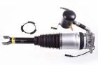 Air Suspension Strut DENCKERMANN DSA012G