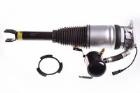 Air Suspension Strut DENCKERMANN DSA013G