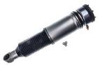 Air Suspension Strut DENCKERMANN DSA032G