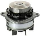 Water Pump, engine cooling DENCKERMANN A310289P