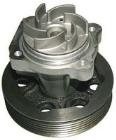 Water Pump, engine cooling DENCKERMANN A310509P