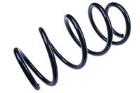 Suspension Spring DENCKERMANN D700494