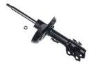 Shock Absorber DENCKERMANN DSB604G