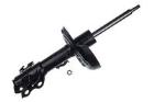 Shock Absorber DENCKERMANN DSB603G
